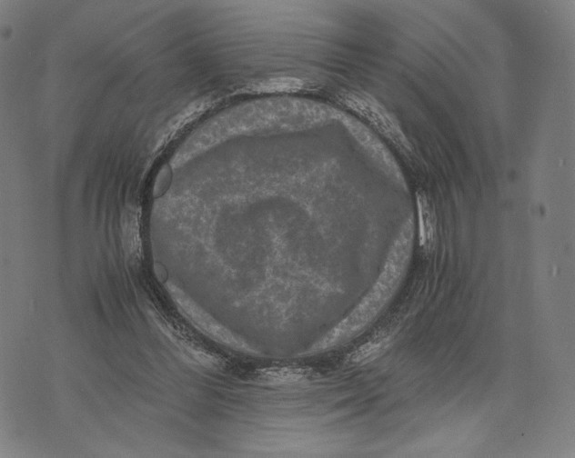 X0000071810300200607211718