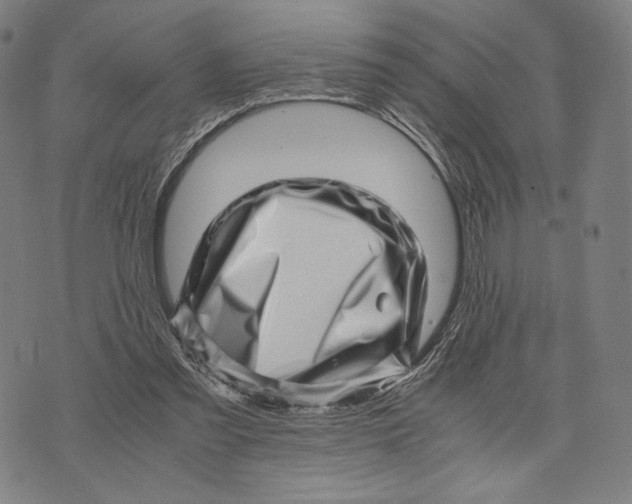 X0000071810301200607211718