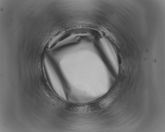 X0000071810306200607211718