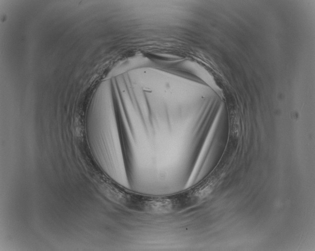 X0000071810317200607211718