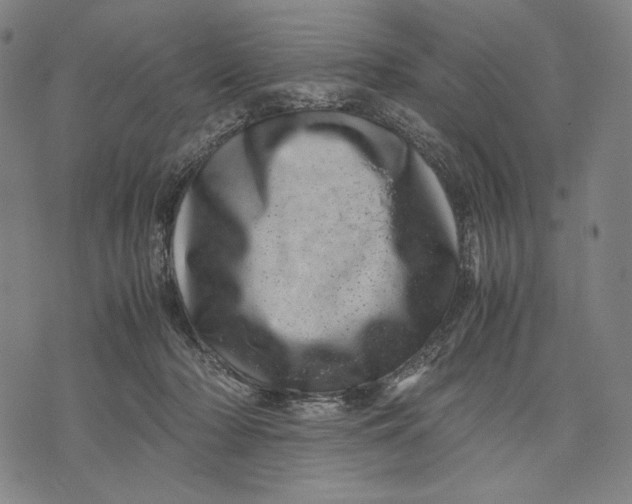X0000071810318200607211718