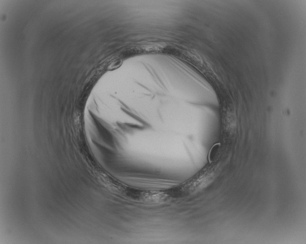 X0000071810321200607211718