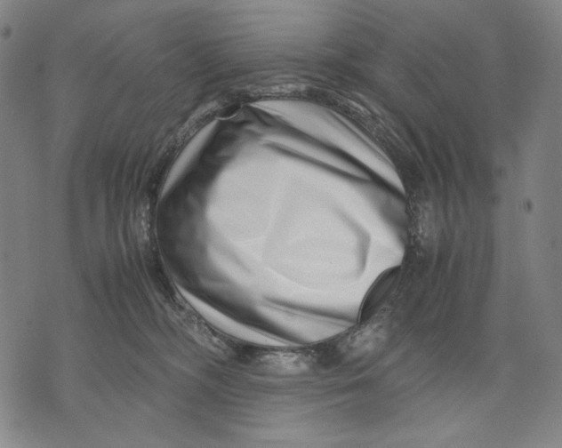 X0000071810326200607211718