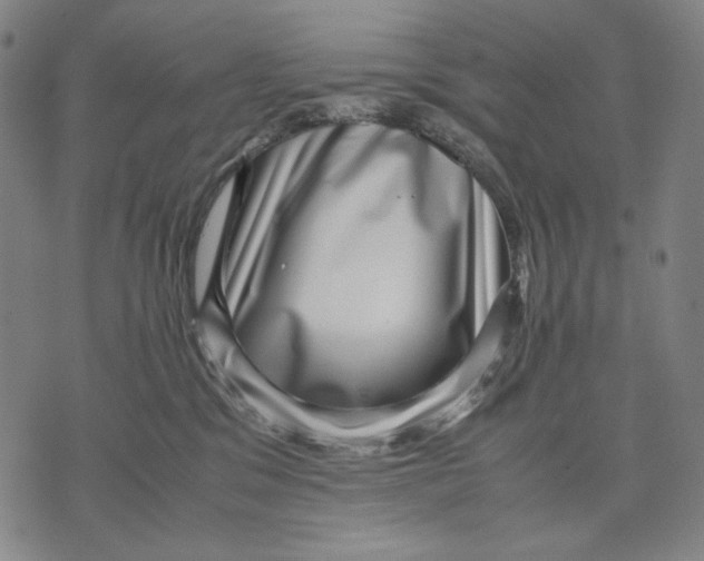 X0000071810329200607211718