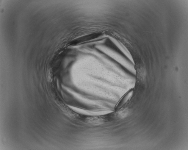 X0000071810331200607211718