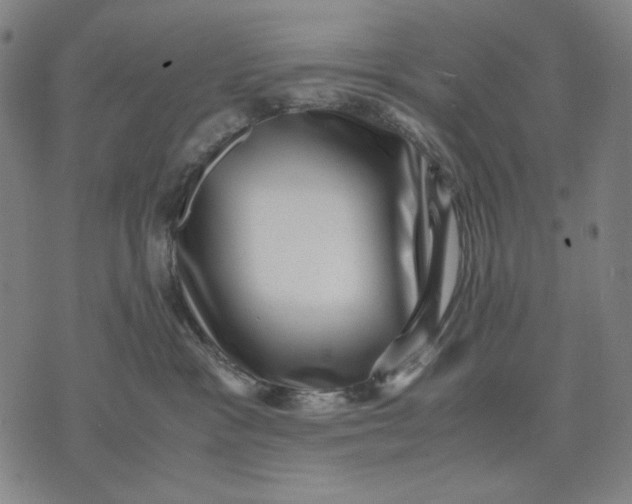 X0000071810333200607211718