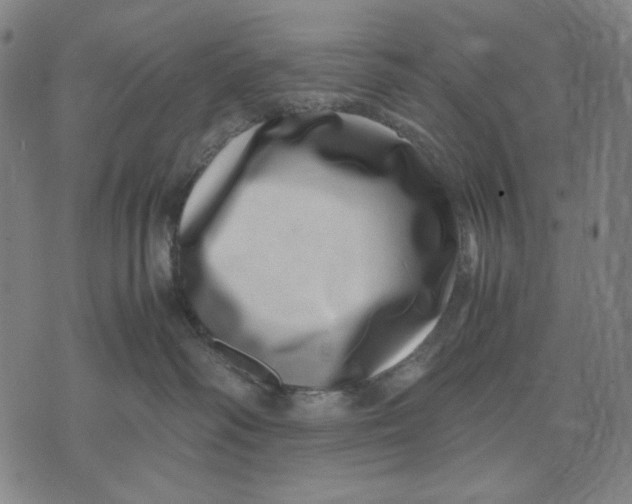 X0000071810334200607211718