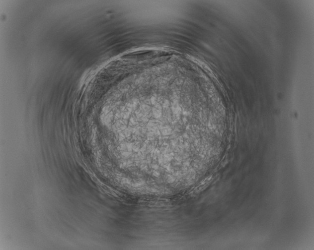 X0000071810337200607211717