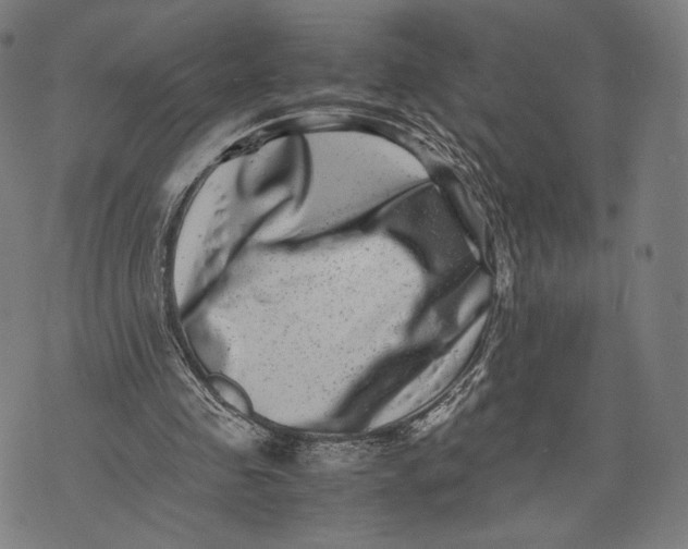 X0000071810341200607211717