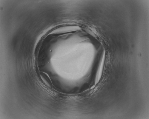 X0000071810342200607211717