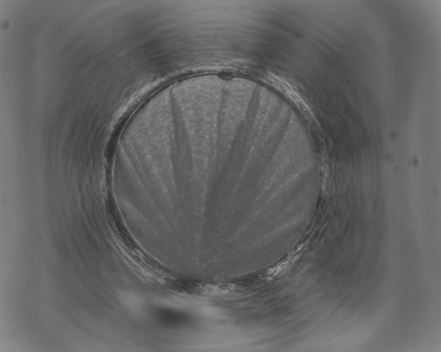 X0000071810346200607211717