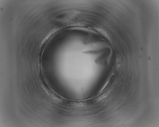 X0000071810349200607211717