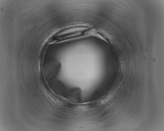 X0000071810350200607211717