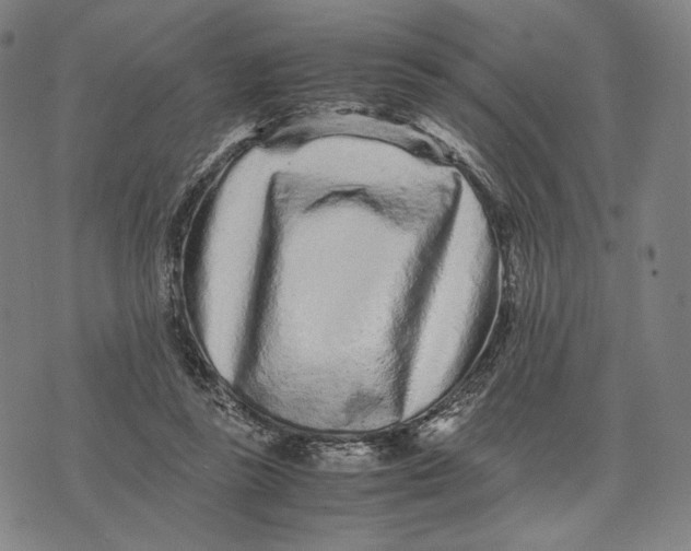 X0000071810355200607211717