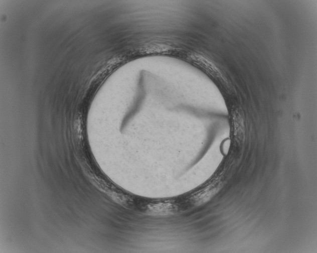 X0000071810362200607211717