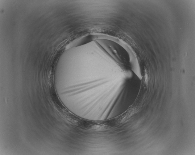X0000071810364200607211718