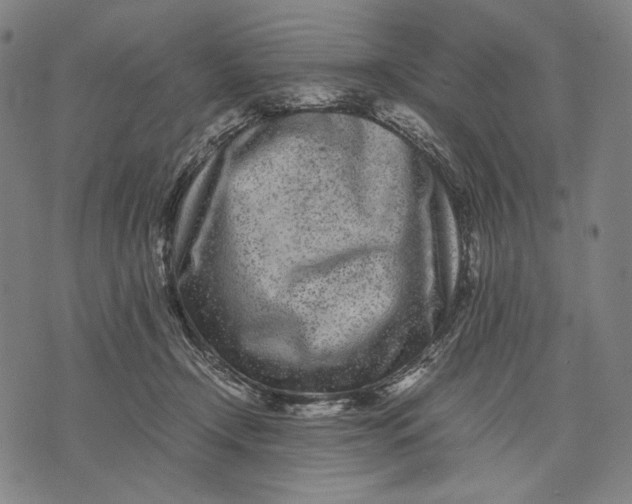 X0000071810366200607211718