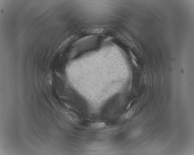 X0000071810374200607211718