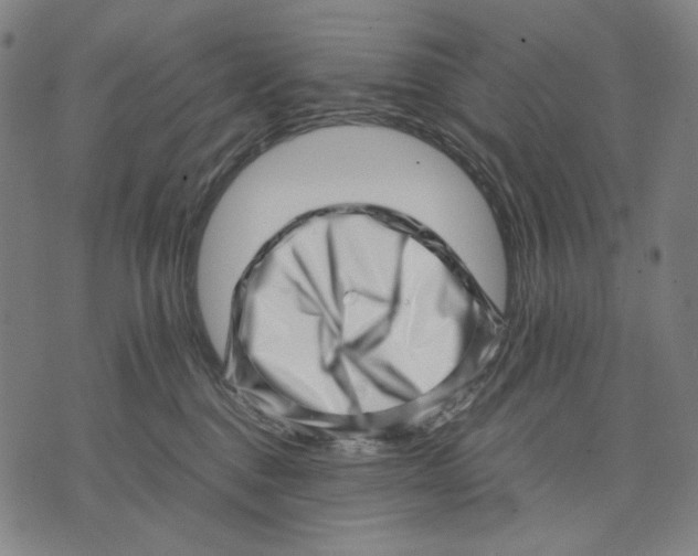 X0000071810376200607211718
