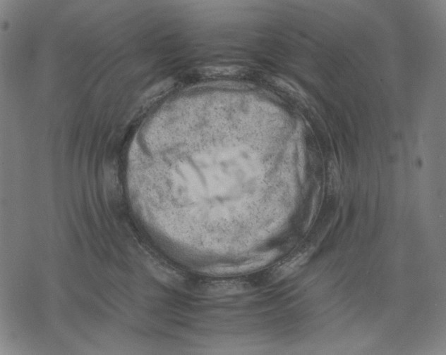 X0000071810377200607211718