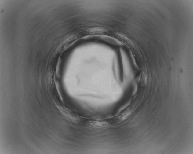 X0000071810379200607211718
