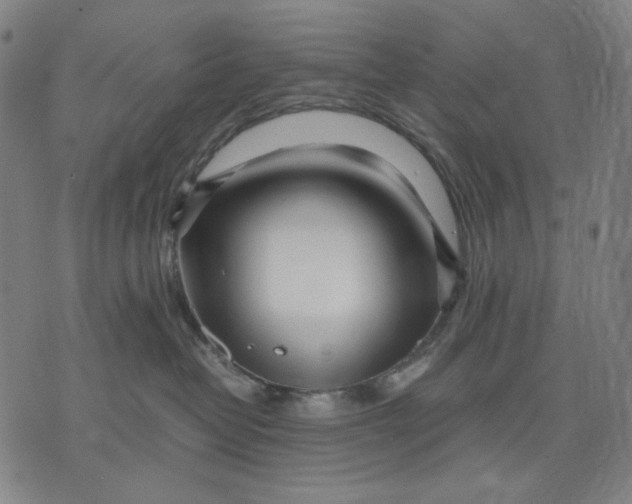 X0000071810382200607211718