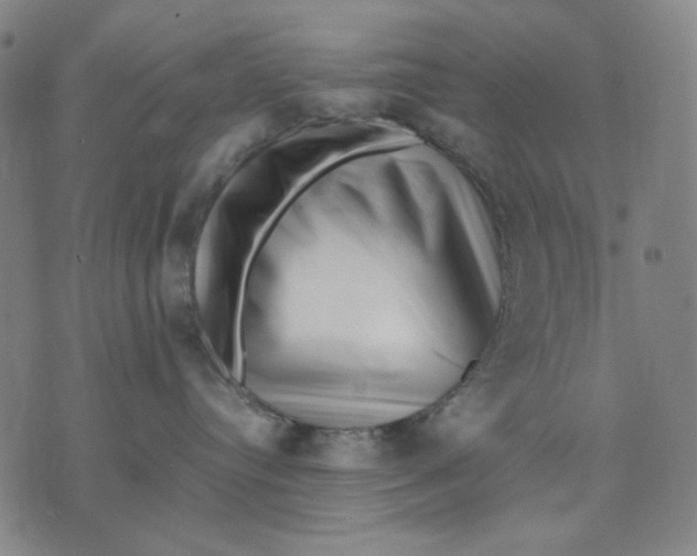 X0000071810384200607211718