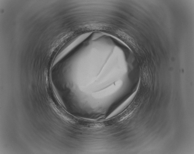 X0000071810398200607211717