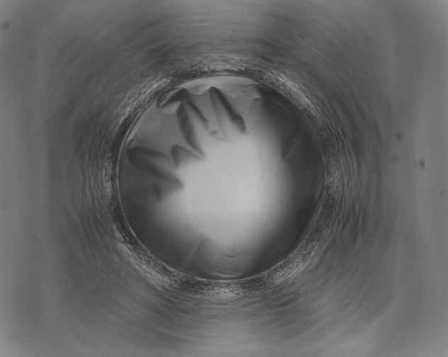 X0000071810402200607211717