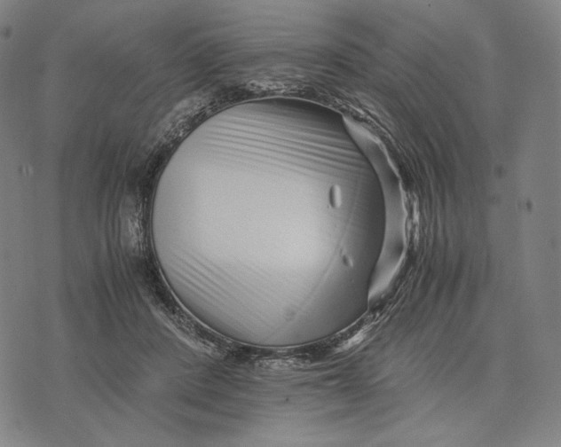 X0000071810408200607211717