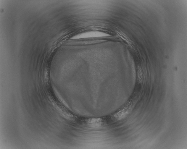 X0000071810410200607211717