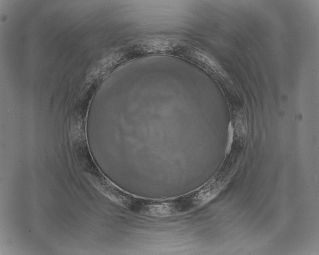 X0000071810411200607211717