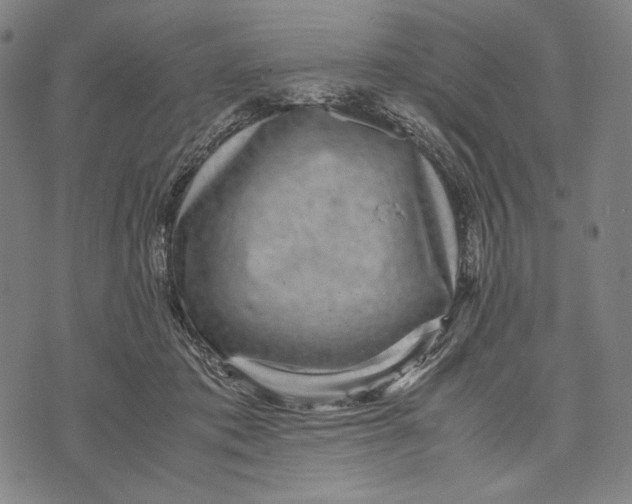 X0000071810413200607211717