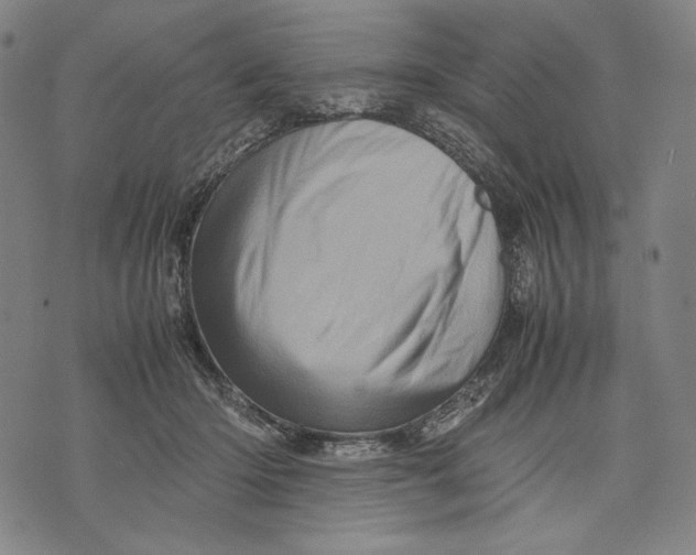X0000071810414200607211717