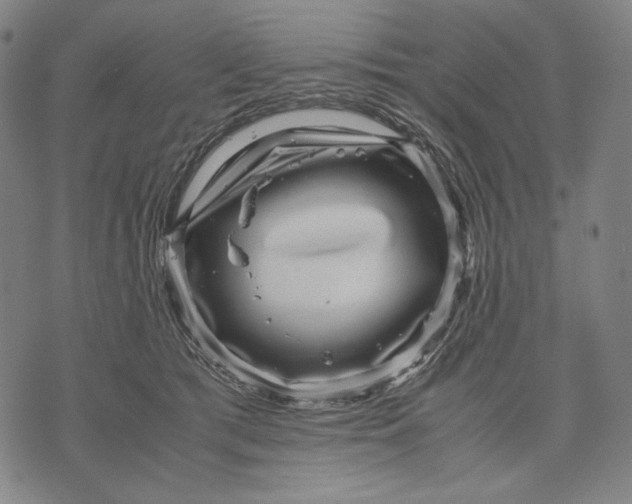 X0000071810417200607211717