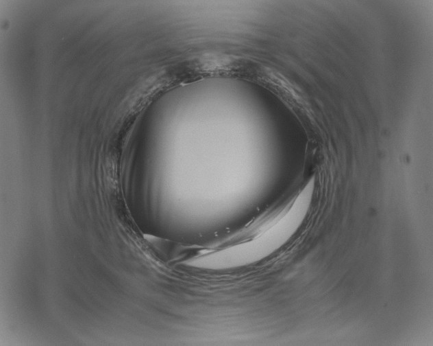 X0000071810421200607211716