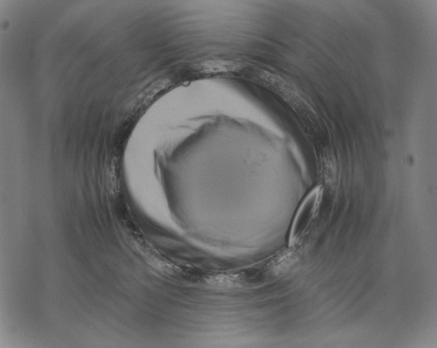 X0000071810422200607211716