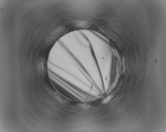 X0000071810424200607211716