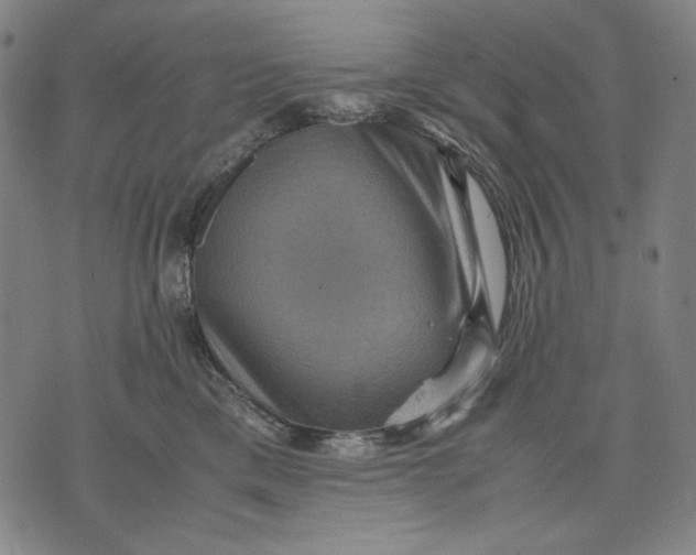 X0000071810425200607211716