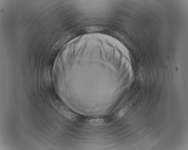X0000071810426200607211716