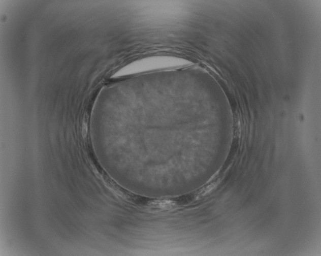X0000071810427200607211716