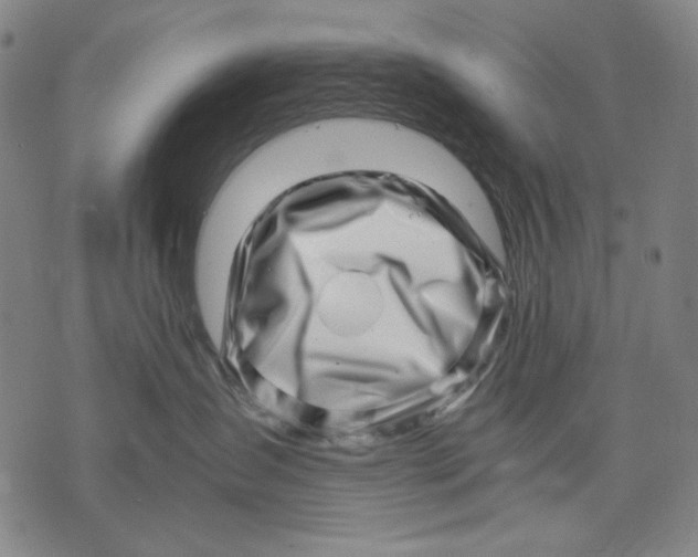 X0000071810431200607211716
