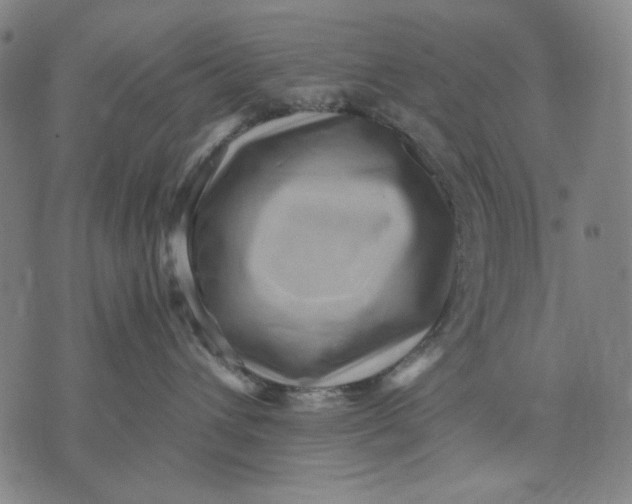 X0000071810432200607211716