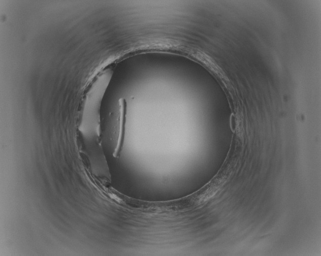 X0000071810434200607211716