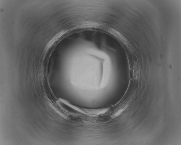X0000071810436200607211716