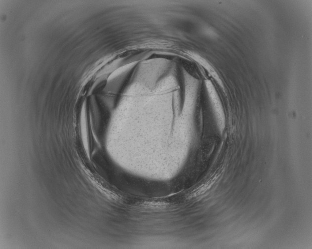 X0000071810437200607211716