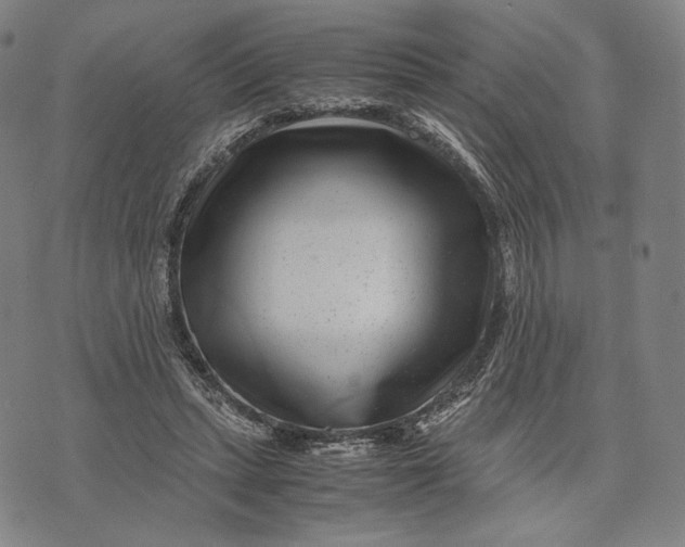 X0000071810447200607211716