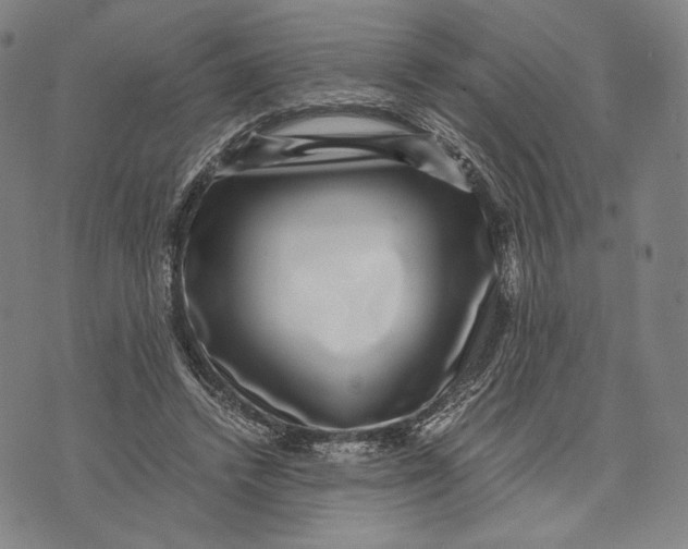 X0000071810448200607211716