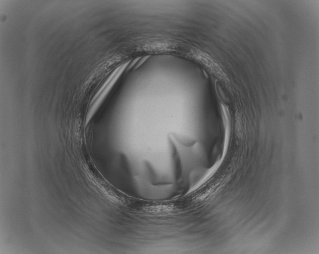 X0000071810449200607211716