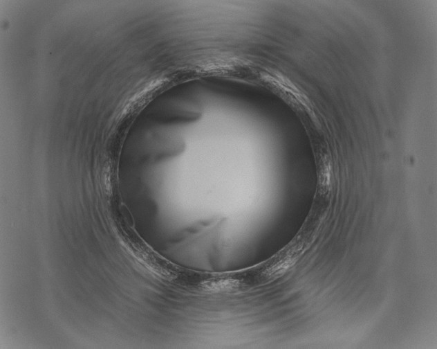 X0000071810452200607211716